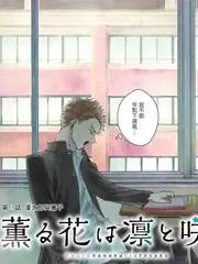 山野厨房综艺封面